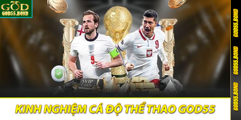 Kinh nghiệm chơi cá độ thể thao god55 đều thắng