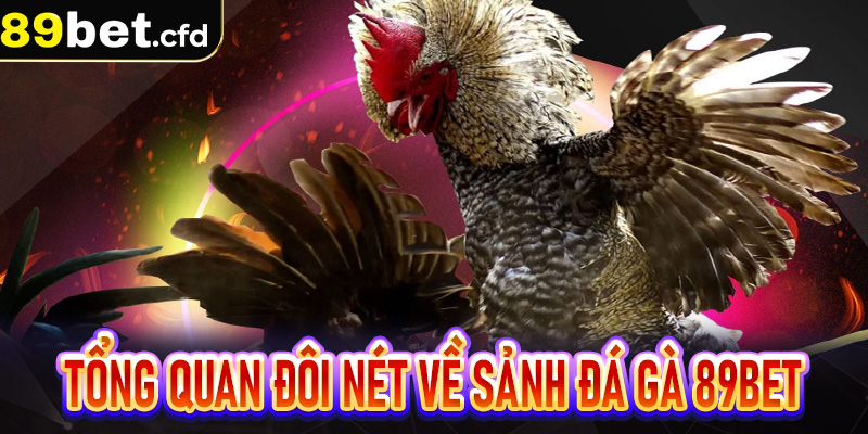 Tổng quan đôi nét về sảnh Đá Gà 89bet