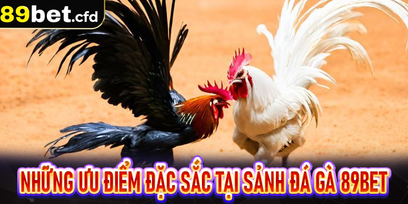 Những ưu điểm đặc sắc tại sảnh Đá Gà 89bet