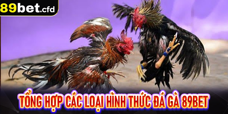 Tổng hợp các loại hình thức đá gà 89bet