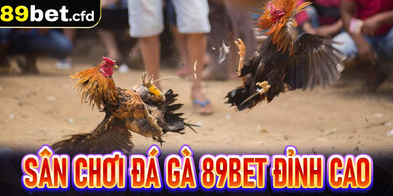 Sân chơi đá gà 89bet đỉnh cao