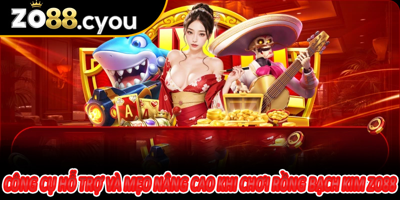 Công cụ hỗ trợ và mẹo nâng cao khi chơi Rồng Bạch Kim Zo88